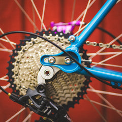 Chessie Frameset