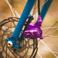 Chessie Frameset