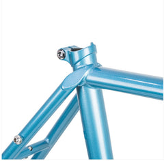 Velo Orange Polyvalent Steel Frameset for Disc Brakes All Sizes Touring